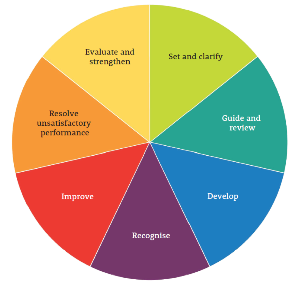 Figure 1: Core requirements of the Performance Development Framework